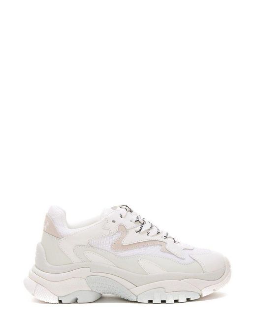 ash addict white