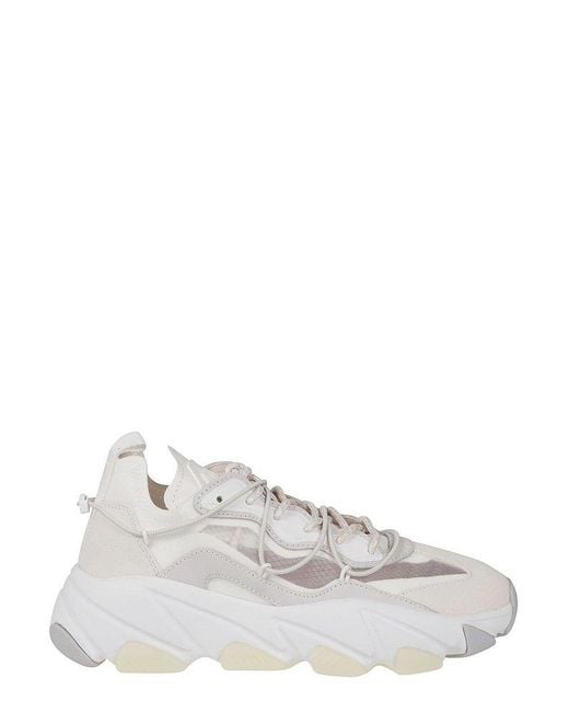 Ash Extra Bis Low-top Sneakers in White | Lyst Canada