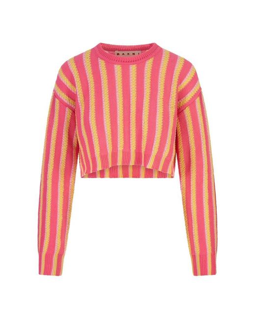 Marni Red And Striped Knitted Crop Pullover