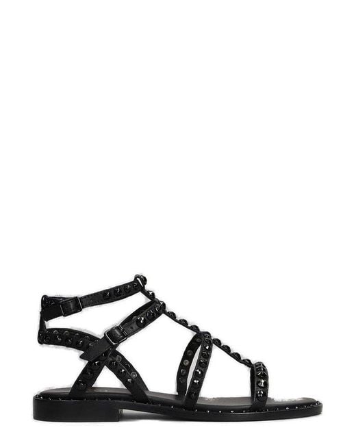 Ash Black Precious Studded Sandals