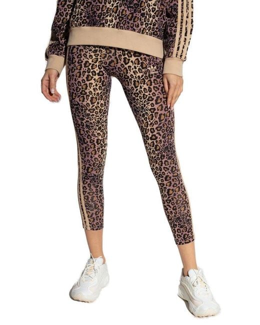 adidas Originals Leggings With Animal Pattern in Natural | Lyst Canada