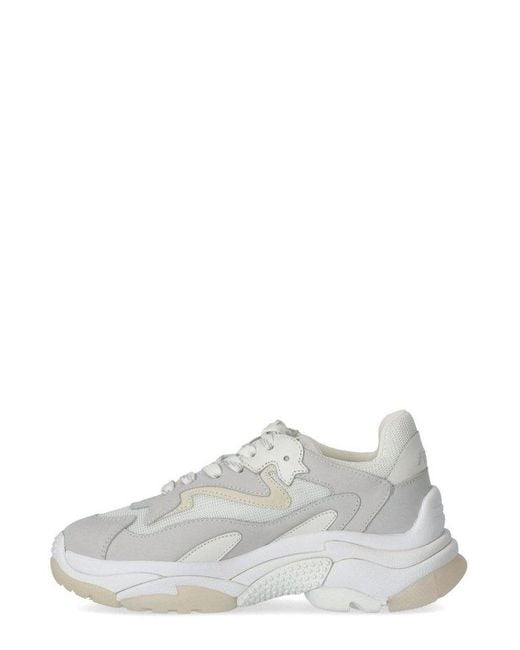 Ash White Addict Panelled Lace-up Sneakers