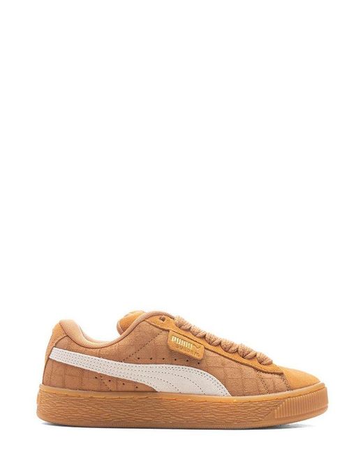 PUMA Brown Xl Elevated Chunky Sole Sneakers