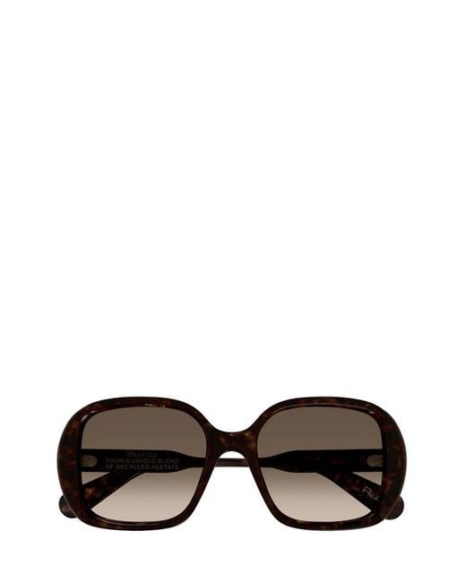 Chloé Black Square-frame Sunglasses