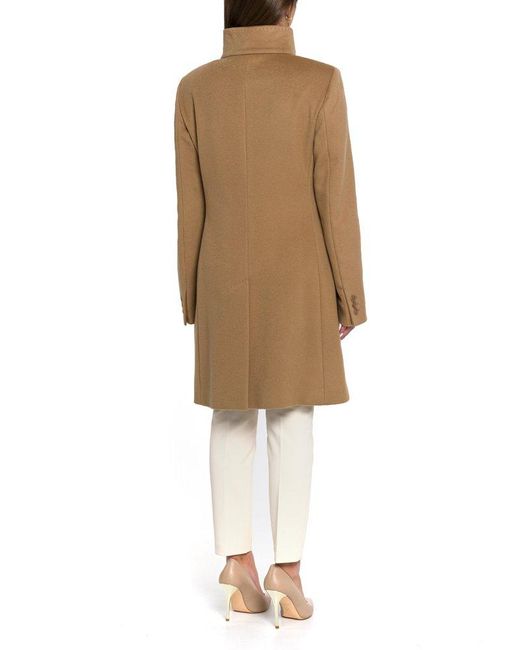 Max mara studio agnese coat 2025