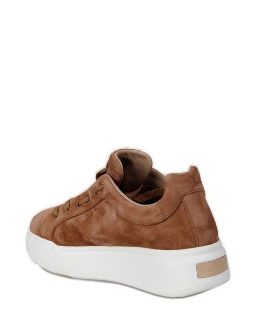 Max Mara Brown Round Toe Lace-up Sneakers