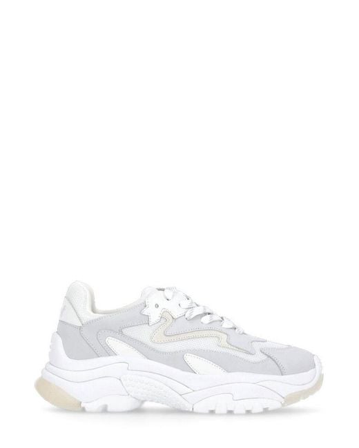 Ash White Addict Lace-up Sneakers