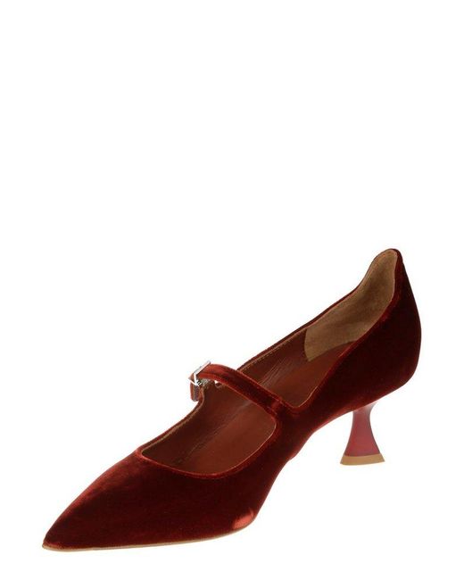 Sergio Levantesi Brown Carlotta5 Buckled Pumps