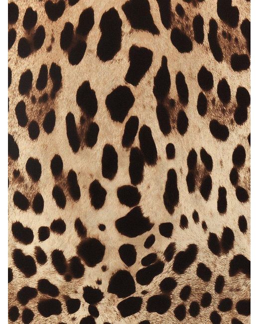 Dolce & Gabbana Black 'Leopard' Scarf