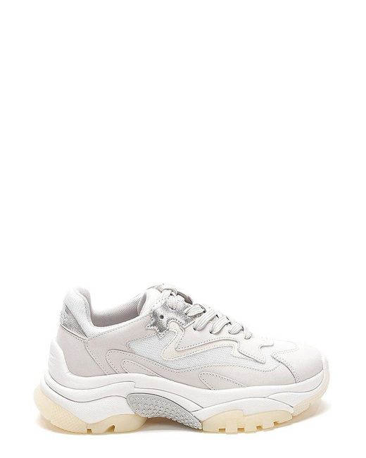 Ash Addict Lace-up Sneakers in White | Lyst