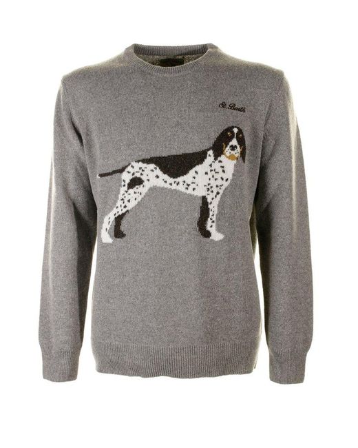 Mc2 Saint Barth Gray Heron Dog Intarsia Jumper for men