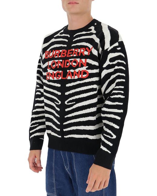 burberry zebra sweater