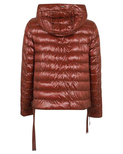 Herno Brown Quilted Hooded Coat