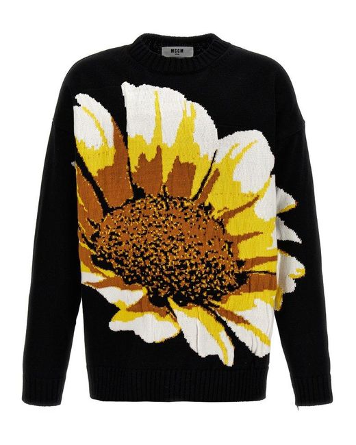 MSGM Black Margherita Sweater, Cardigans for men