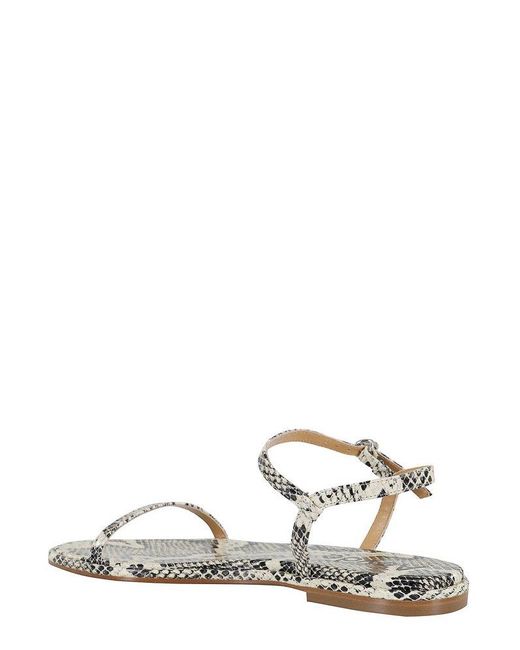 Aeyde White Nettie Snake Print Goat Leather Creamy