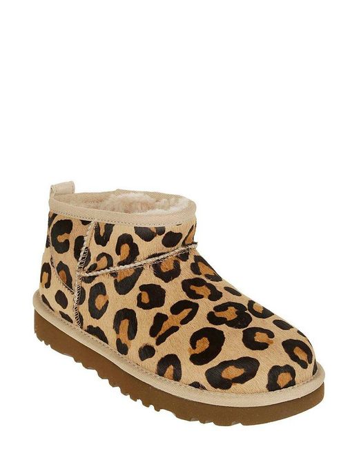 Ugg Brown All-over Leopard-printed Ankle Boots