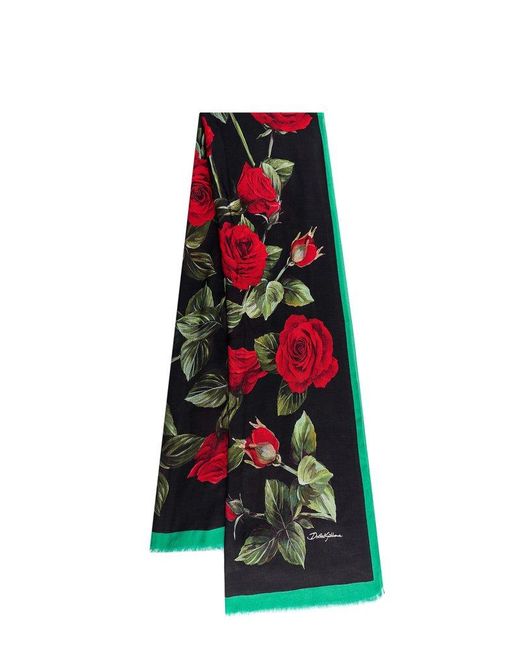 Dolce & Gabbana Multicolor Rose-printed Frayed Edge Scarf