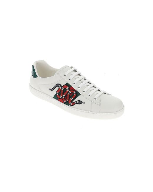gucci aces snakes