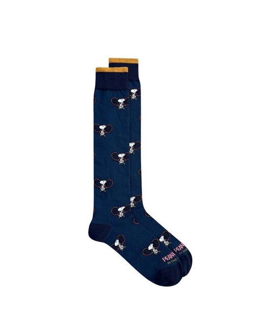 In The Box Blue Patterned Knee-High Socks for men