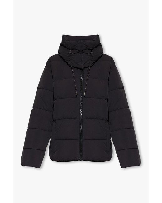 Zadig & Voltaire Black 'kory' Insulated Hooded Jacket