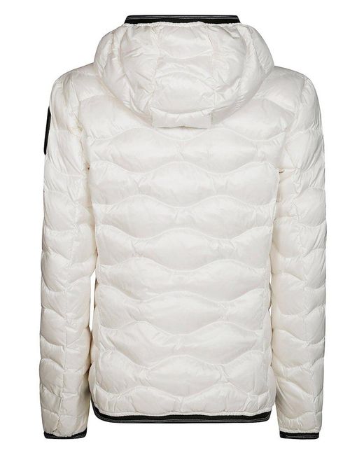 Blauer Gray Zip-Up Quilted Down Jacket