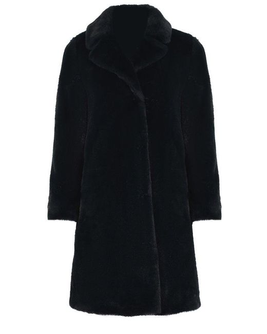 Herno Black Coats