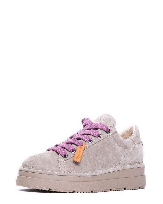 Pànchic Pink Casual Sneakers
