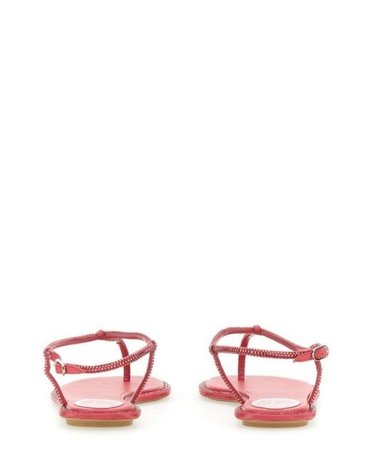 Rene Caovilla Pink Diana Embellished Thong Sandals