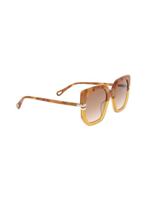 Chloé Multicolor Oversized Square Frame Sunglasses