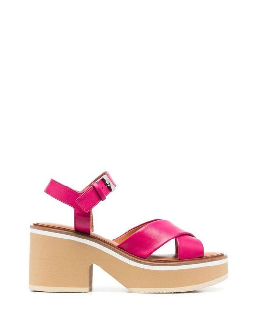 Robert Clergerie Pink Platform Sandals