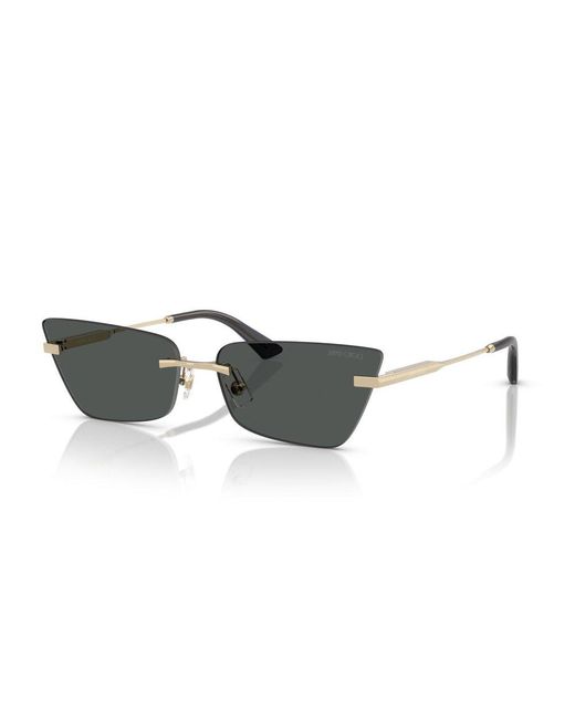 Jimmy Choo Multicolor Cat-Eye Frame Sunglasses
