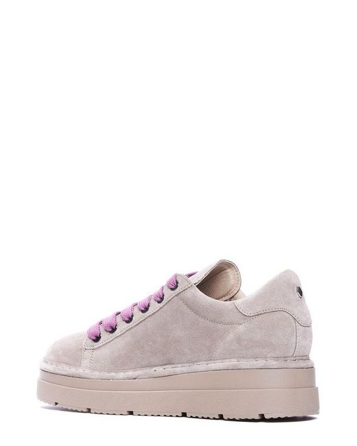 Pànchic Pink Casual Sneakers
