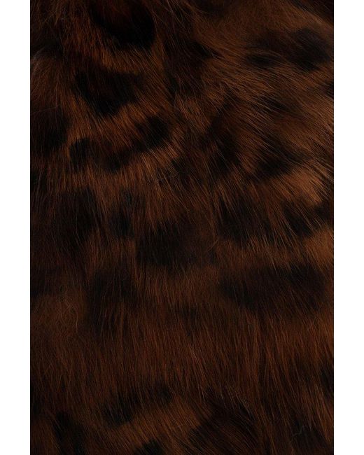 Saint Laurent Brown Muffler Leopard Printed Scarf
