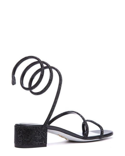 Rene Caovilla Black René Caovilla Cleo Embellished Block-heeled Sandals