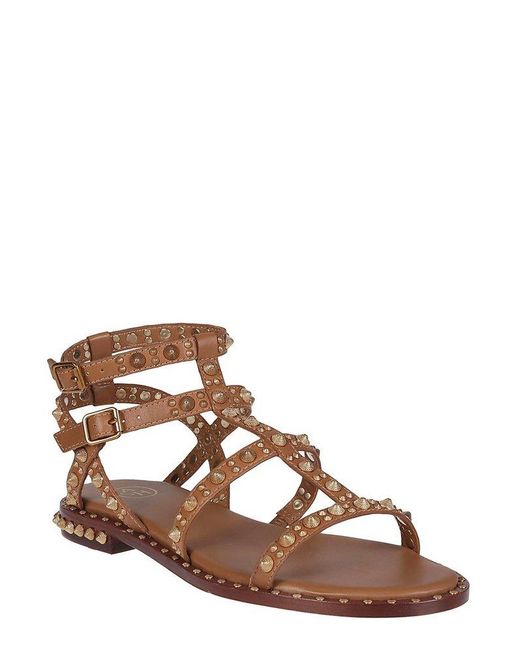 Ash Brown Embellished Open Toe Sandals