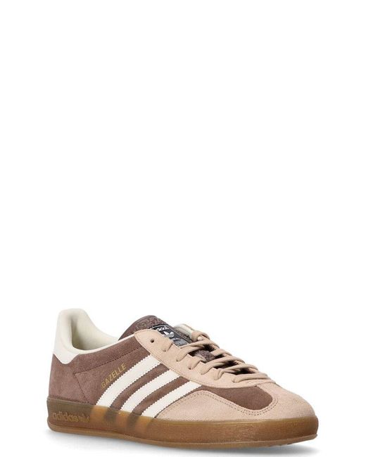 Adidas Originals Brown Gazelle Indoor Shoes for men