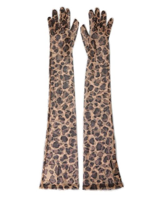 Gucci Brown Leopard Printed Gloves