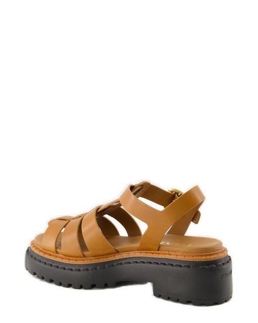 Prada Brown Buckle-Fastened Cage Sandals