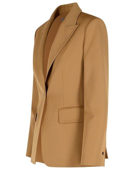 Max Mara Brown Palchi Single-Breasted Blazer