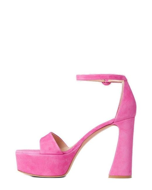 Gianvito Rossi Pink Holly Buckle-fastened Sandals