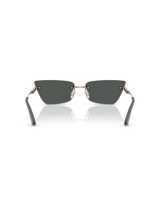 Jimmy Choo Multicolor Cat-Eye Frame Sunglasses