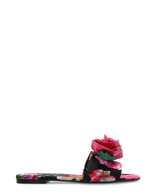 Dolce & Gabbana Multicolor Floral Detailed Slip-On Slides