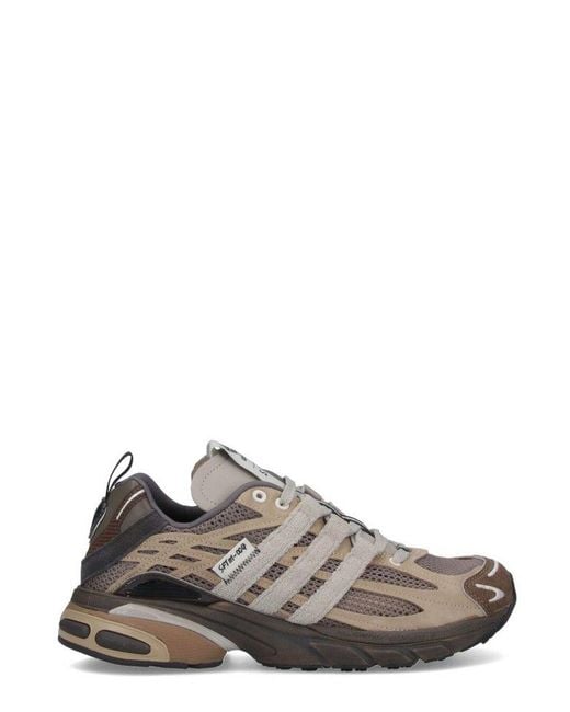 Adidas Originals Brown Adistar Cushion Sftm Sneakers for men