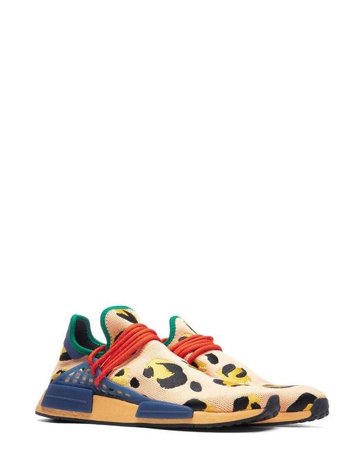 Adidas Originals Multicolor X Pharrell Hu Nmd Animal Printed Sneakers for men