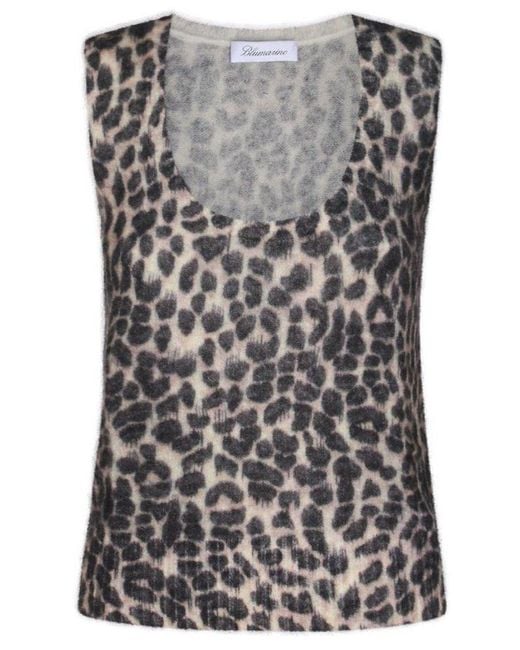 Blumarine Gray Rose Printed Knitted Top