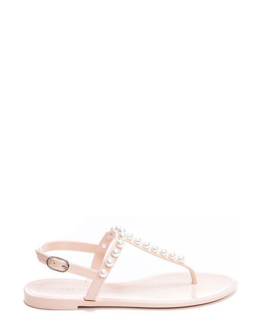stuart weitzman goldie jelly
