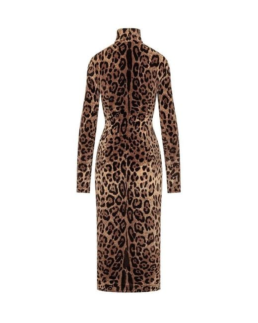 Dolce & Gabbana Brown Leo Print Dress