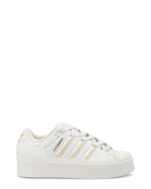 superstar bonega