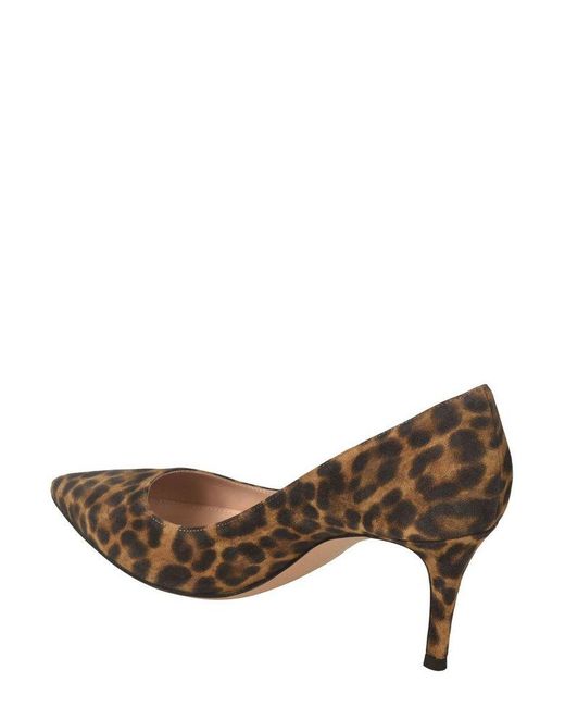 Gianvito Rossi Brown Leopard Printed Pointed-toe Pumps