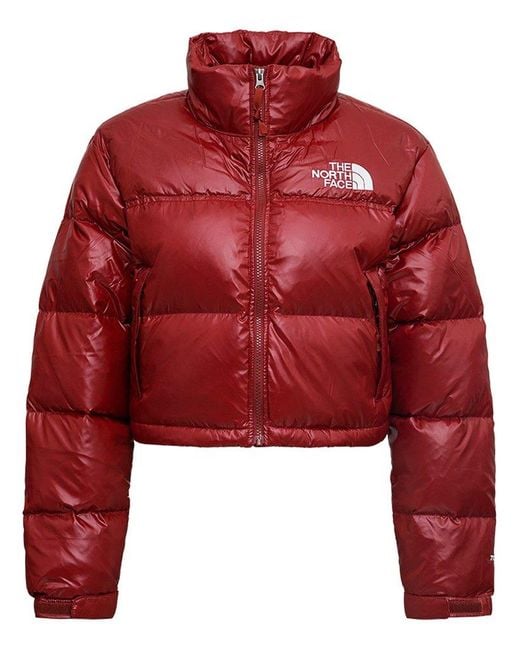 The North Face Synthetic Nuptse Logo Embroidered Cropped Puffer Jacket Lyst Canada